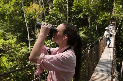 amazon life canopy