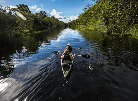 amazon river