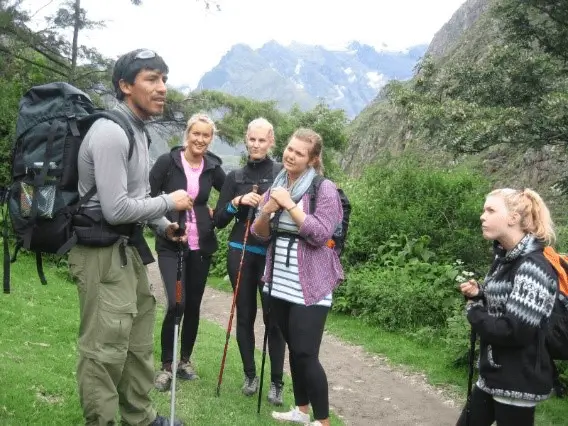 Contratar un guía turístico oficial autorizado del Camino Inca desde el km 104 hasta Machu Picchu para la caminata corta del Camino Inca
