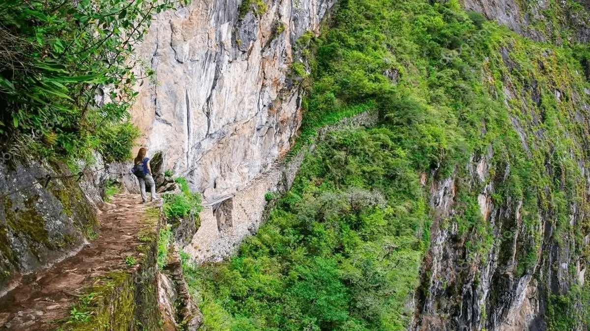 Machu Picchu Circuit 1 or 2 with Inca bridge