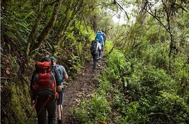 salkantay chaullay