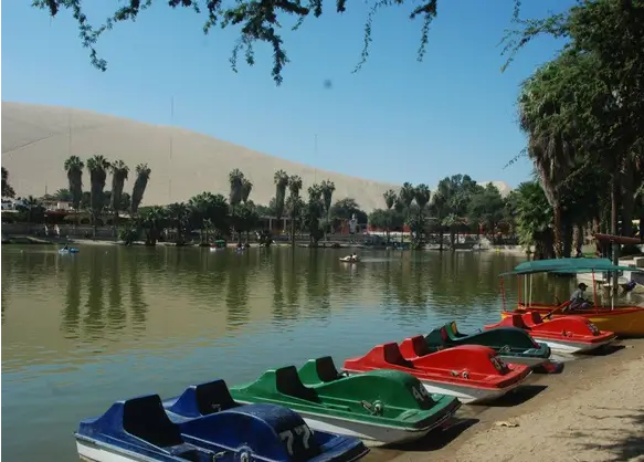 Tour 3D2N desde el aeropuerto de Lima a Paracas, Ica, Huacachina + Líneas de Nazca